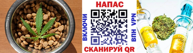 Canna-Cookies марихуана  Курган 