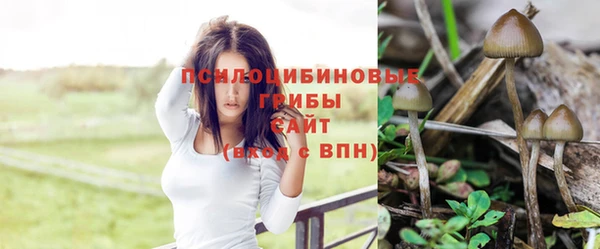 таблы Аркадак